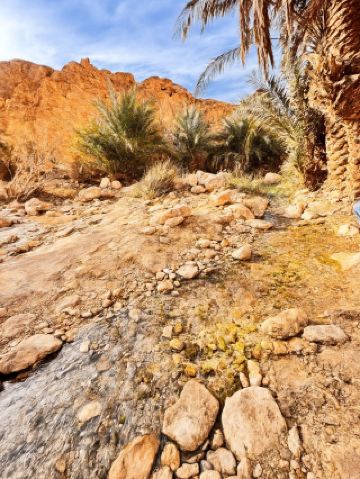 ทัวร์รับจ้างเลี้ยงเด็ก 6 วันในตูนิเซียสุดยอดมาก!