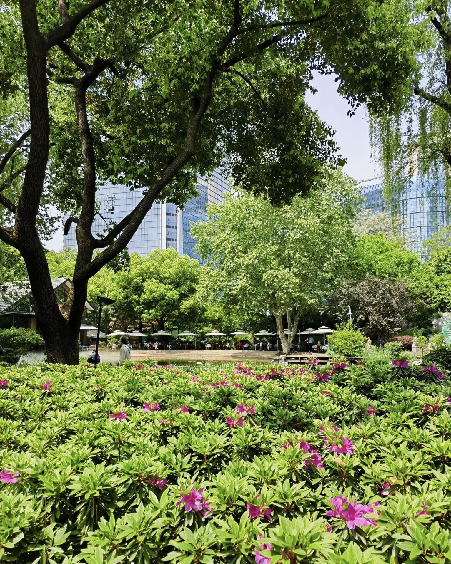 Hidden treasure garden opposite Jing'an Temple, a poetic haven in the urban city