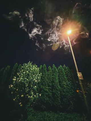 龍之夜魔法