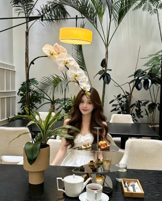 昆明C86絕美法式酒店樓頂變身山茶花公主