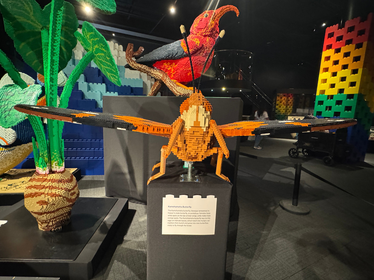 Engaging Aloha Bricks '26 Exhibit at Bishop's Museum | Trip.com