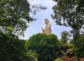 山、森林、古代寺院、そして海を巡る、浙江省の5A級景勝地を巡る2日間のツアーをご紹介します。