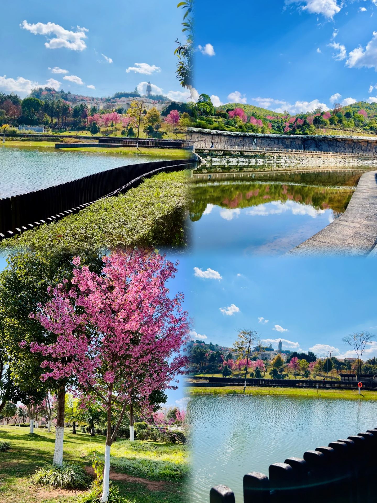 Yuxi is beautiful but not recommended in August and September. Here’s the honest truth!!!