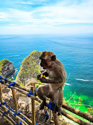 7-day Indonesia family trip guide for a worry-free experience