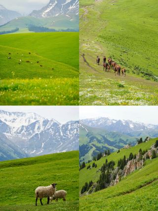 Сказочный край Синьцзяна — Караджун