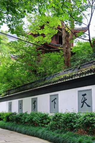 Finally visited the Hangzhou version of "The Garden of Words"