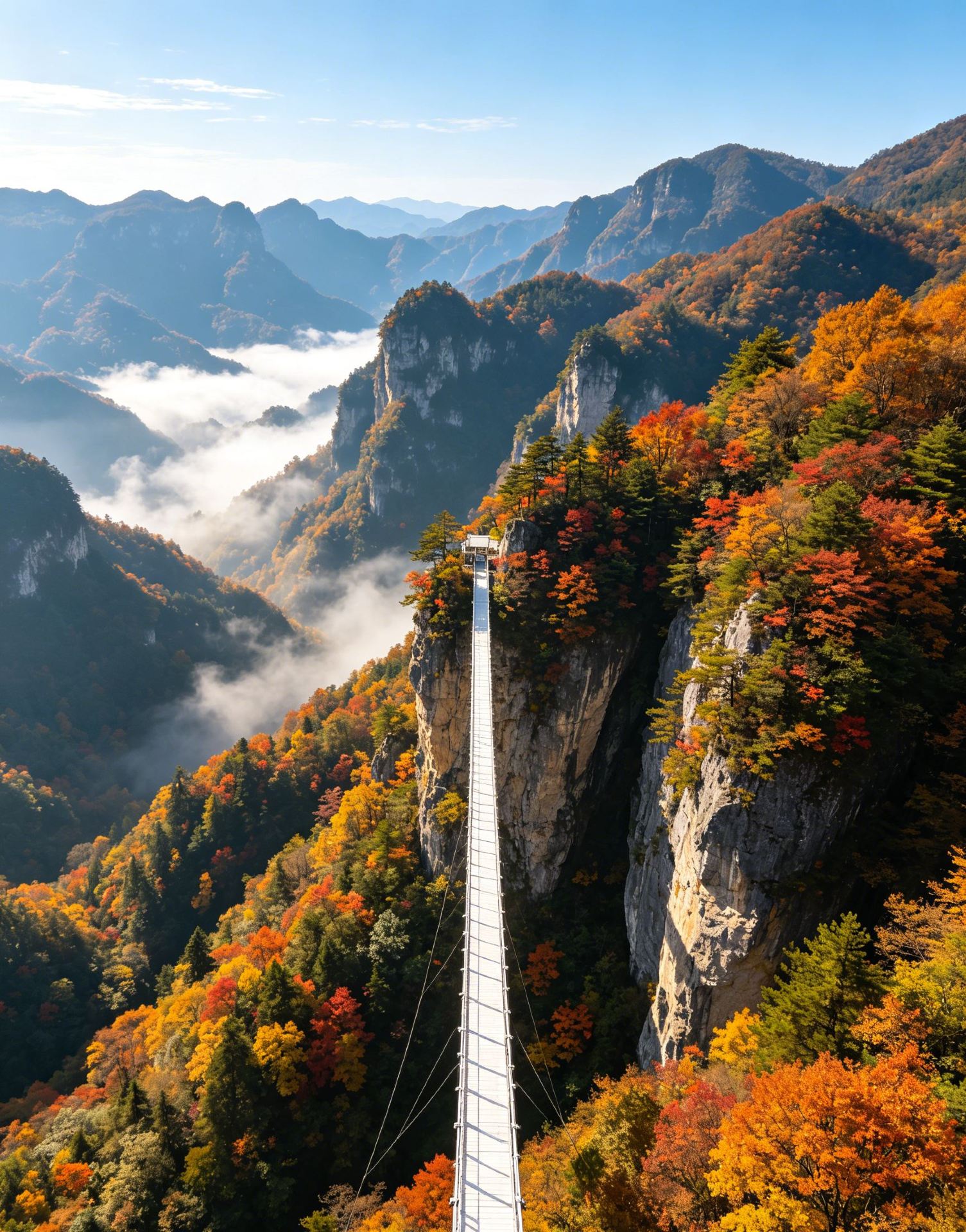 秋の光霧山で、色とりどりの山々を眺め、渓流のせせらぎに耳を傾ける