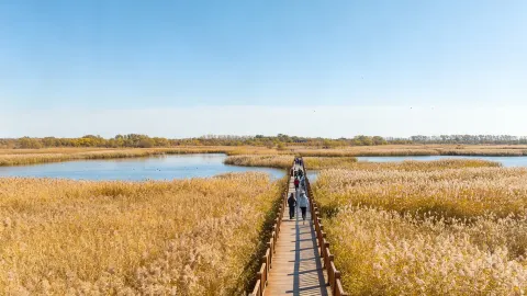 September Milk Town Autumn Quest | 2-Day 1-Night Anda Grassland & Wetland Hidden Gem Guide — traveler post in Anda