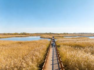 September Milk Town Autumn Quest | 2-Day 1-Night Anda Grassland & Wetland Hidden Gem Guide