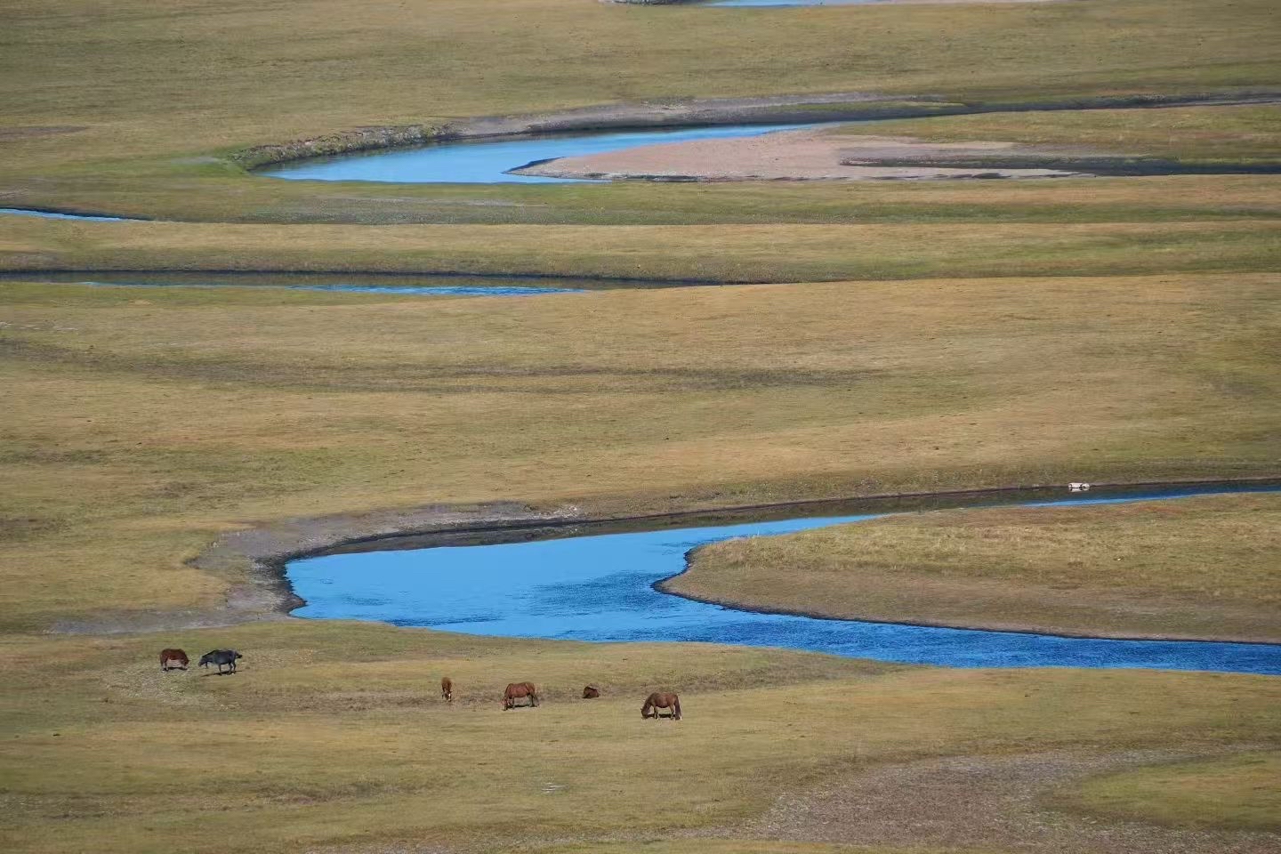 My Unforgettable Moergle River Travel Experience & Honest Guide