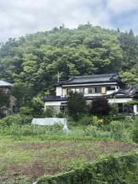 誰懂啊日本6日遊去了就不想回來
