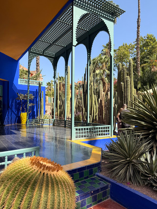 A Dream Solo Tour Across Morocco, Flawlessly Organized
