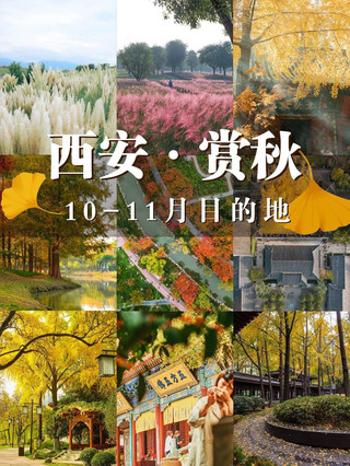 Xi'an after October is even more beautiful than I imagined 🍂