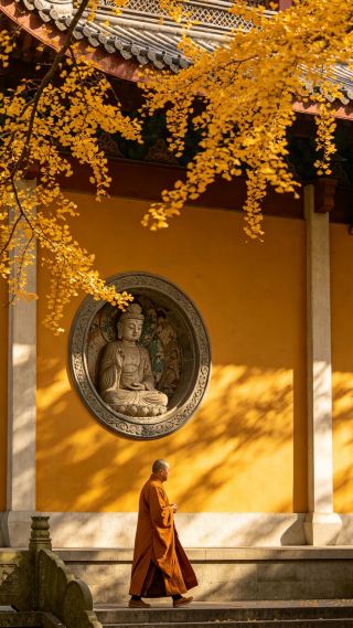 Visit West Lake + 4 major ancient towns in one go! A gentle, healing 5-day trip to Jiangnan