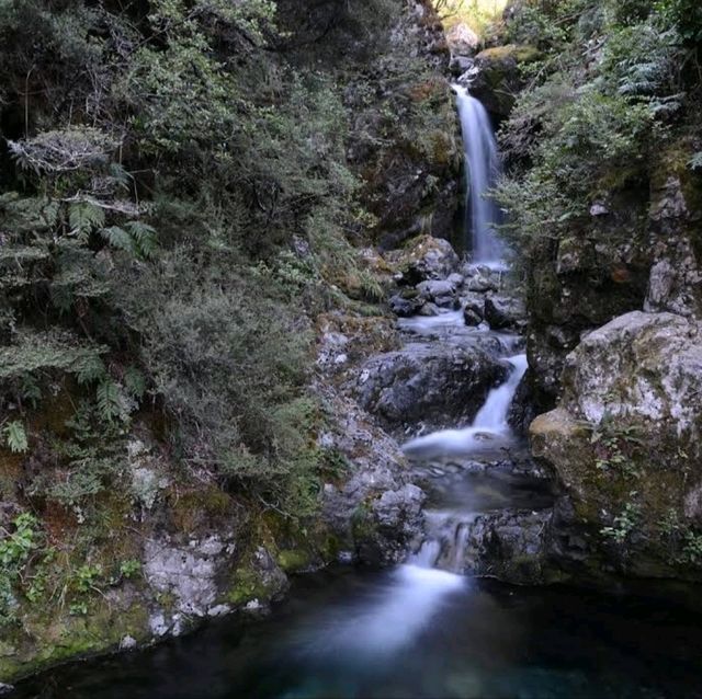 Natural Beauty in New Zealand