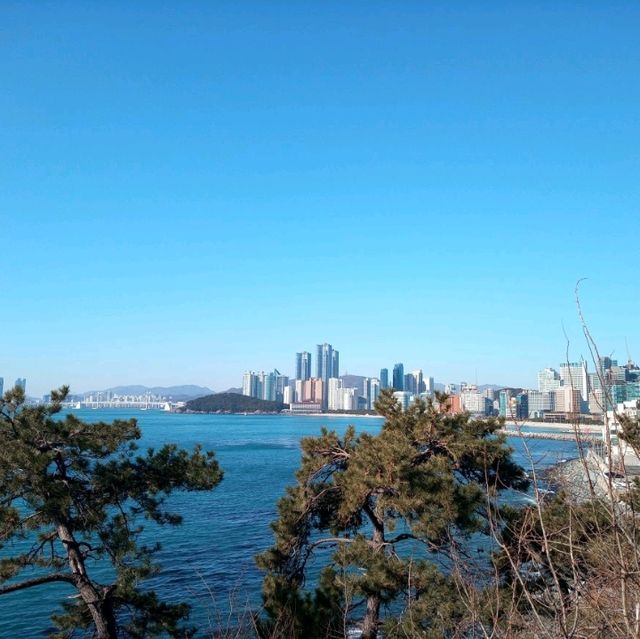 바다가주는 아른다움 구덕포  청사포바다★