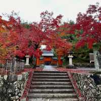【京都】と言えば嵐山、金閣寺、清水寺