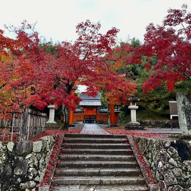 【京都】と言えば嵐山、金閣寺、清水寺
