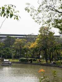 ปิคนิครับลมที่สวนจตุจักร