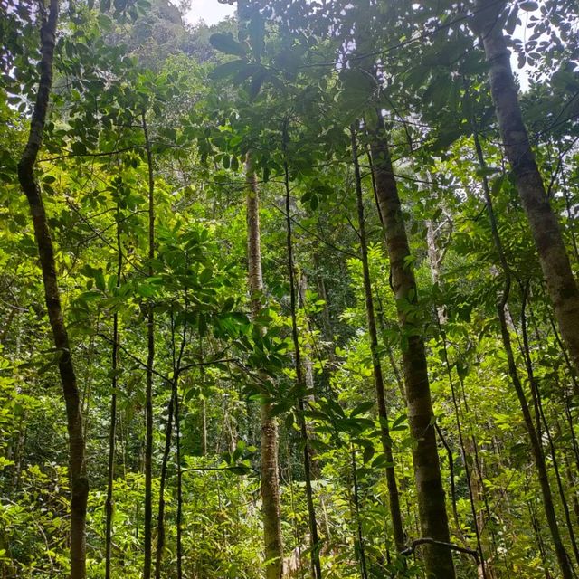 桂林!? 奇岩の絶景 カオソック国立公園