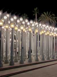 미국에서 유럽갬성나는 찐 핫플인 lacma🤍🖤