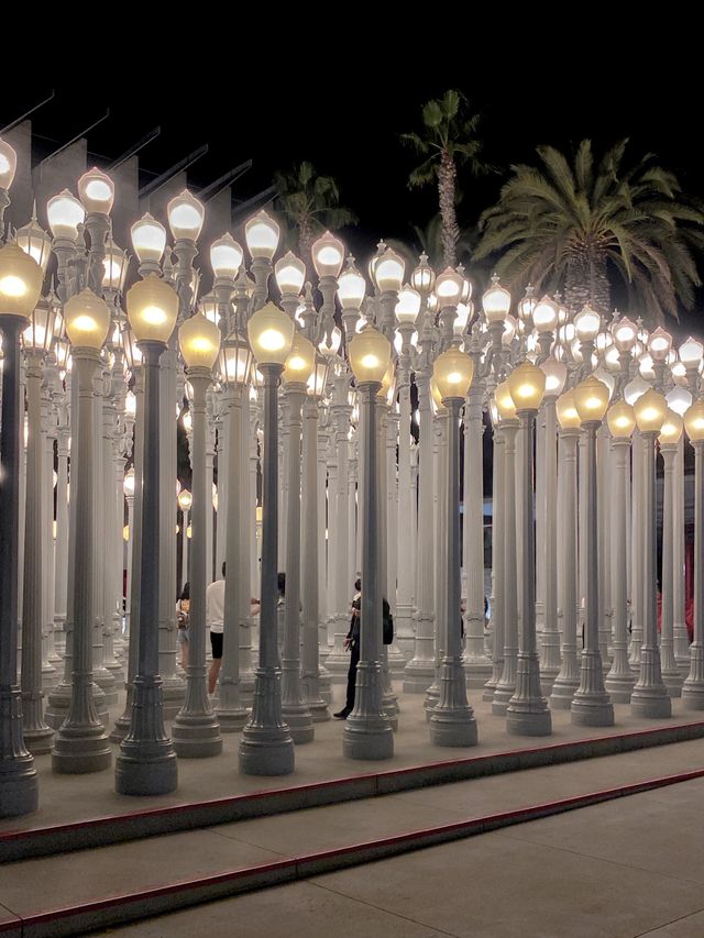 미국에서 유럽갬성나는 찐 핫플인 lacma🤍🖤