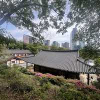 Place to visit in Korea (Bongeunsa Temple)