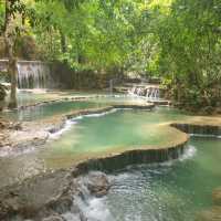 라오스 인생 여행지! 꽝시폭포 Kuangsi Waterfall