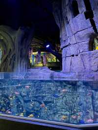 Aquaria Phuket อะควาเรียมมาตรฐานสากล