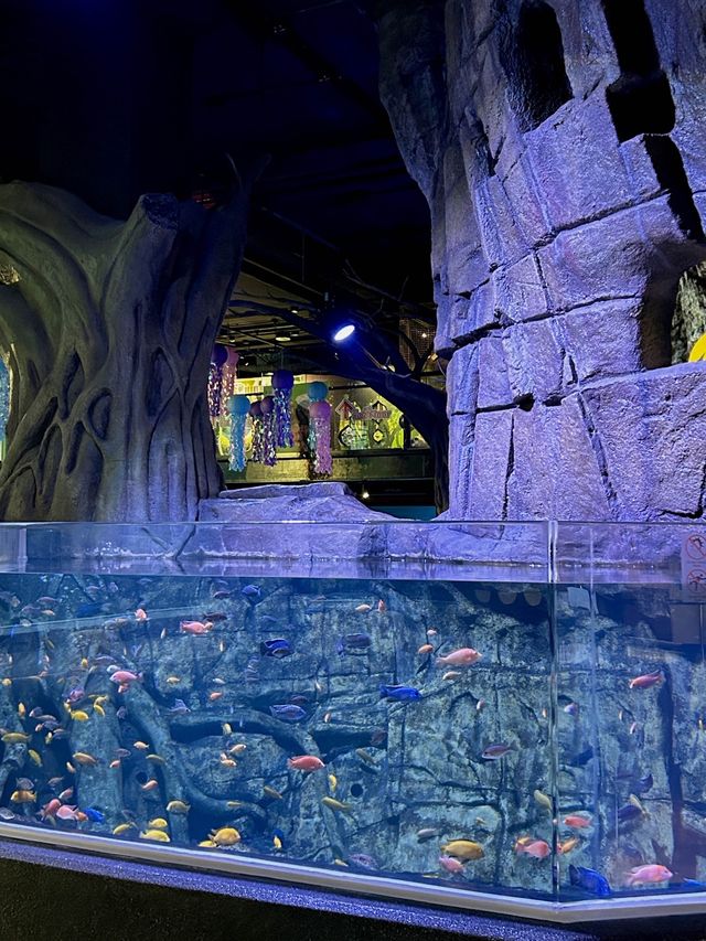 Aquaria Phuket อะควาเรียมมาตรฐานสากล