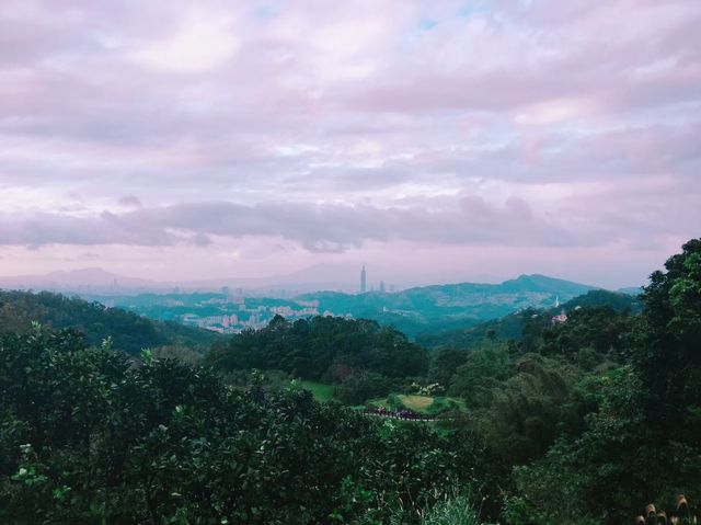 台北必去景點🐱貓空泡茶🍵