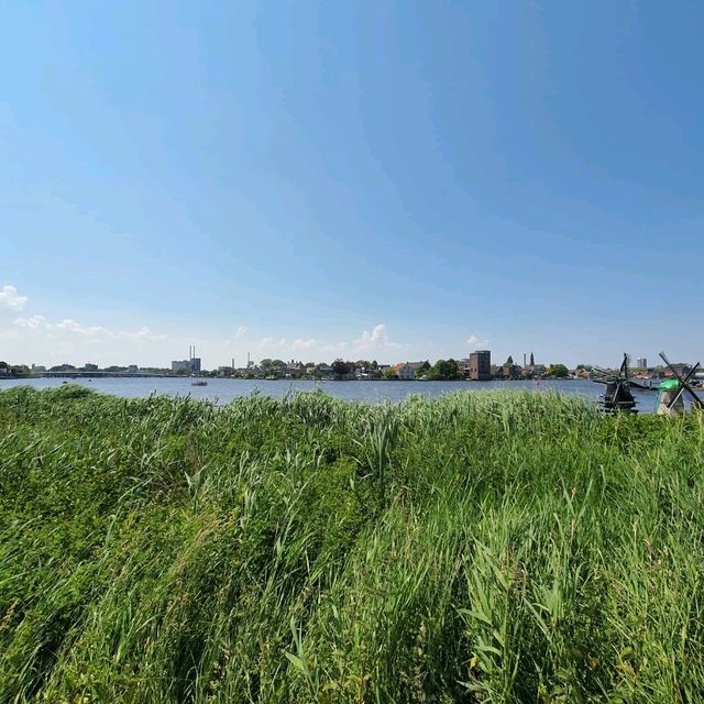 The Iconic Windmills of Amsterdam 