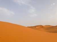 摩洛哥🇲🇦世界最大之撒哈拉沙漠🏜️(日)
