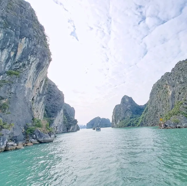 下龍灣🇻🇳🏞念念不忘的海上貴林