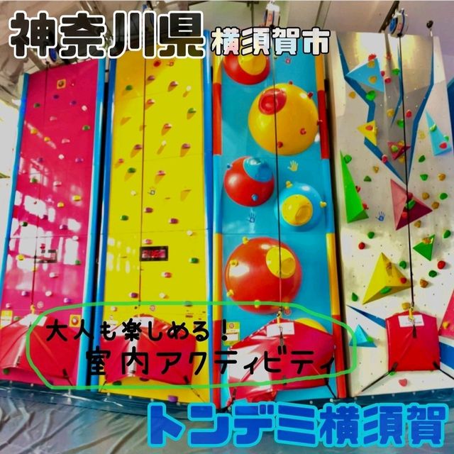 【神奈川県/横須賀市】トンデミ横須賀