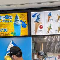 【ぜひ遊びに行って欲しい！】大阪最大の水族館