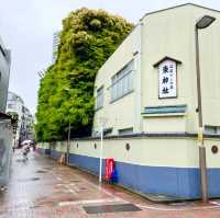 【東京都/東神社】数少ない東京での湧水溢れる神社