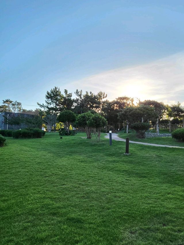 바다바람 맞으며 초록 피톤치드도 느끼는 송정공원🌲