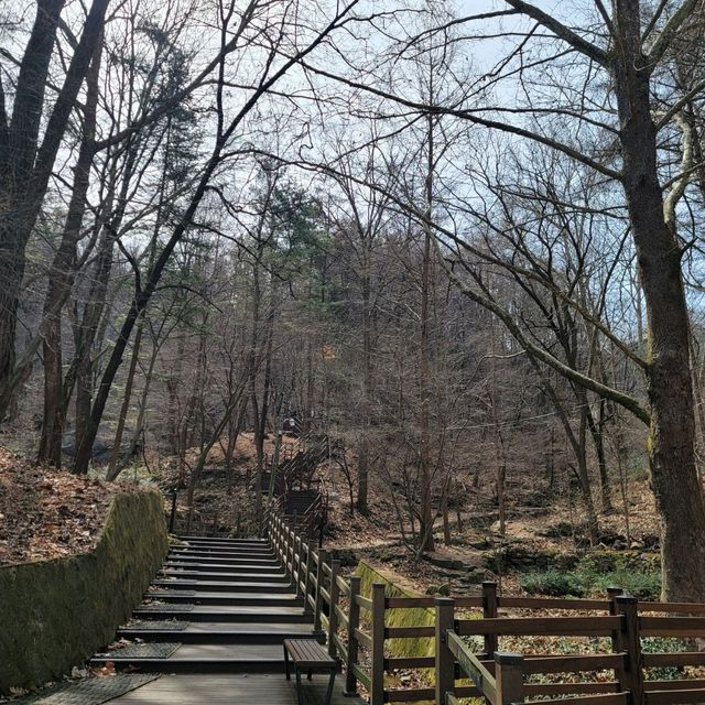 두근두근여름휴가 대전의 인기 산 보문산 등산