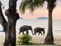 Nice beach @ koh chang