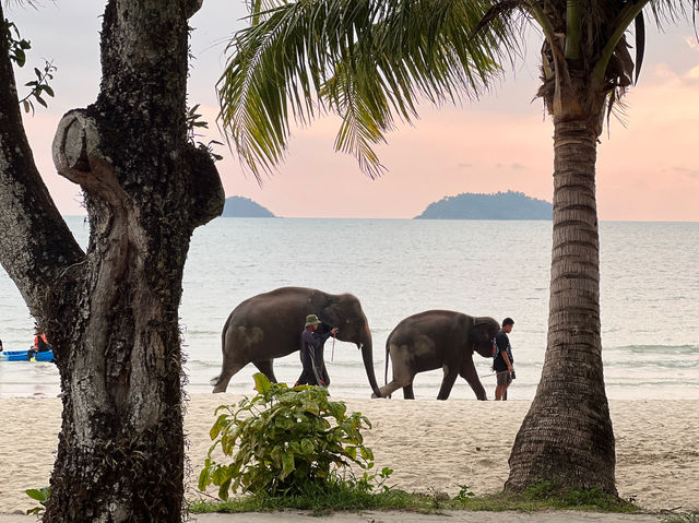 Nice beach @ koh chang