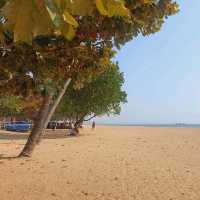 ชายหาดพัทยา สวยสะอาดตาน่าไปเที่ยว