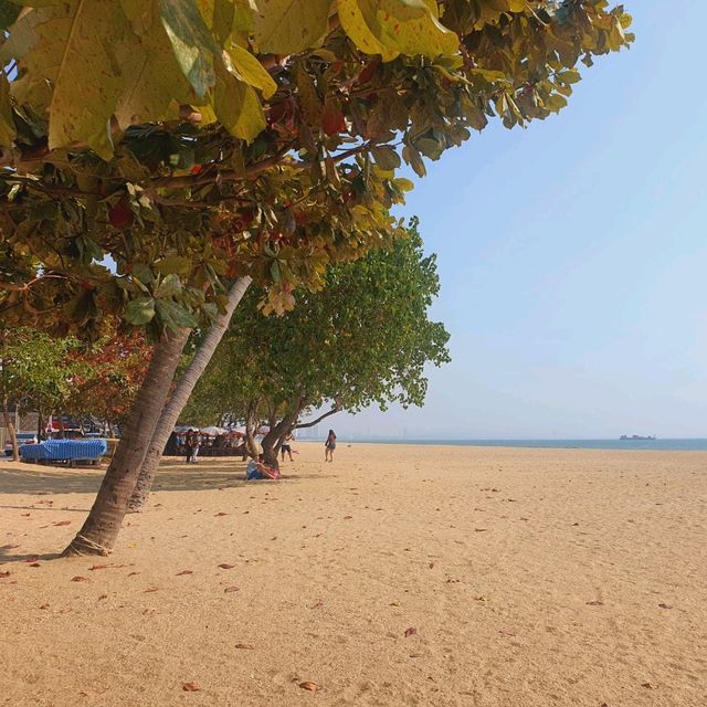ชายหาดพัทยา สวยสะอาดตาน่าไปเที่ยว