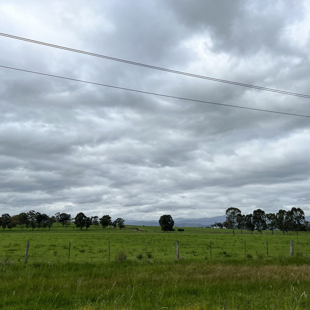 Melbourne Yarra Valley 