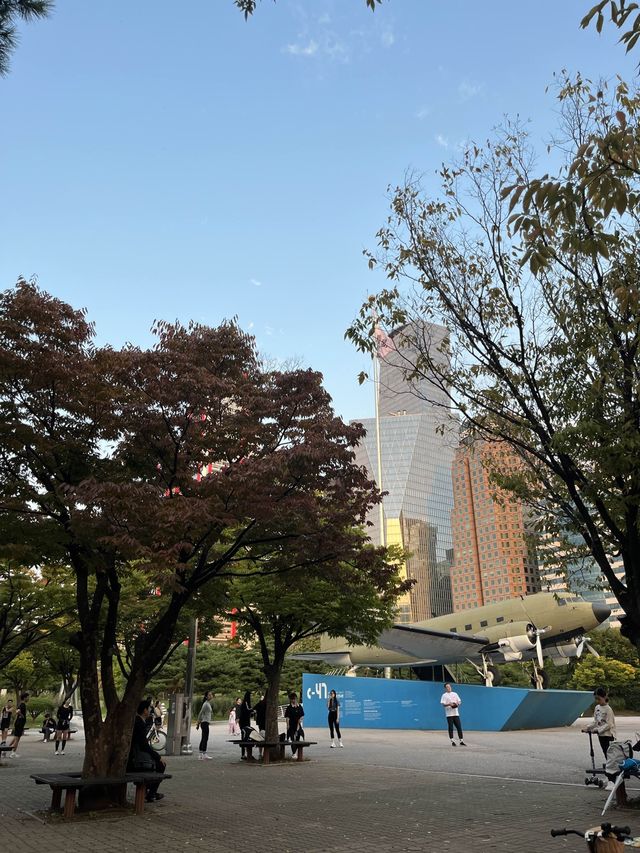 서울 대표 러닝 스팟, 여의도공원 ✨