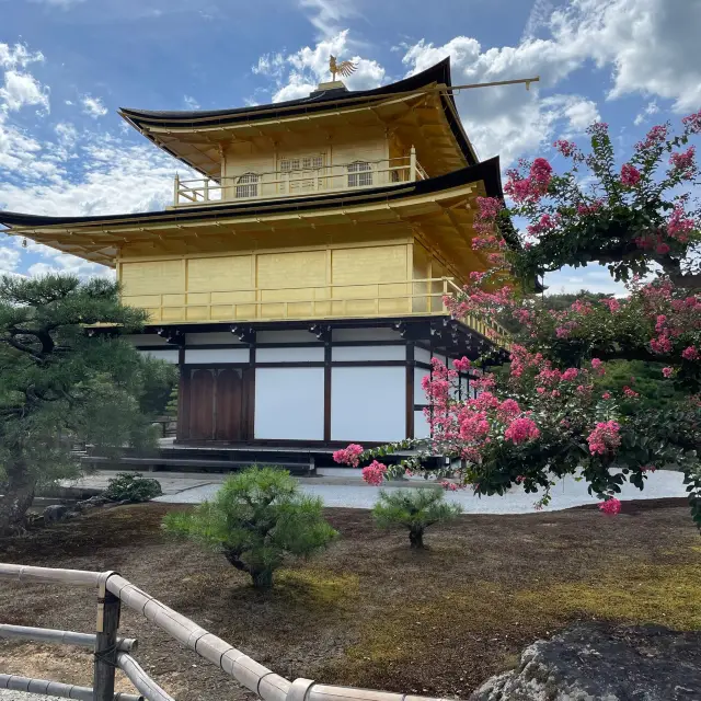 京都金碧輝煌的金閣寺