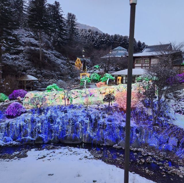 사계절이 예쁜 아침고요수목원🏞️