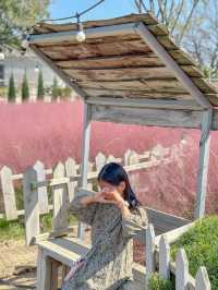 꽃잔치 가득 열린 청주 카페 아르떼 물들이다🌸
