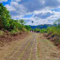 Campuhan Ridge Walk