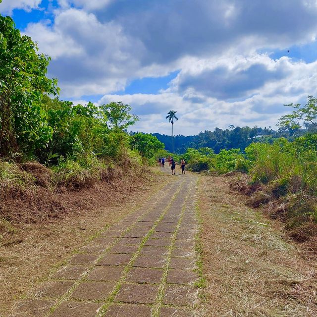 Campuhan Ridge Walk